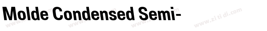 Molde Condensed Semi字体转换